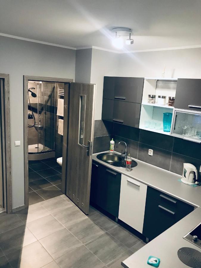 Apartament C18 Jelenia Góra Eksteriør billede